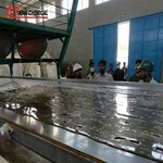 ہائی پیوریٹی ایلومینیم سلفیٹ پلانٹ