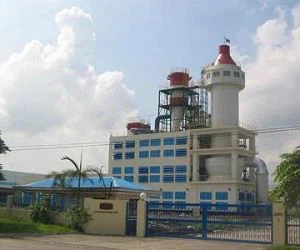 ڈیٹرجنٹ پاؤڈر پلانٹ